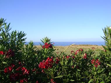 Ferienwohnung in Monopoli (Bari) oder Ferienwohnung oder Ferienhaus