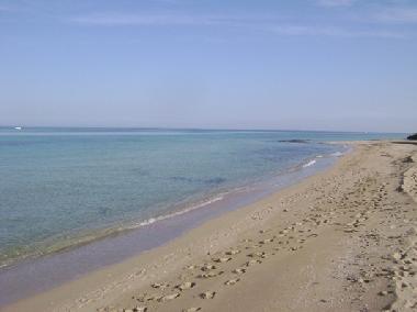 Ferienwohnung in Monopoli (Bari) oder Ferienwohnung oder Ferienhaus
