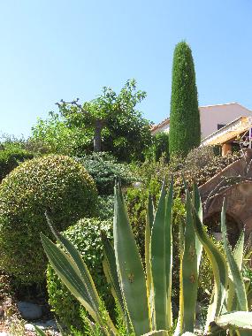 Mediterrane Vegetation im grossz�gigen Garten