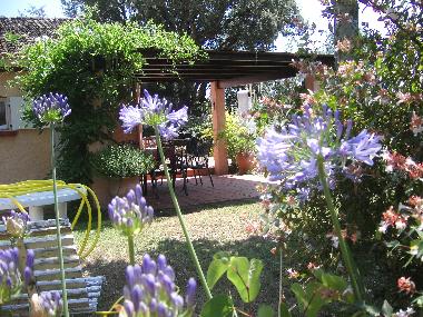 Durch die automatische Bew�sserung gr�nt und bl�ht es zu jeder Jahreszeit