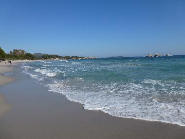 Korsika hat entlang der Ostk�ste viele Kilometer Sandstrand