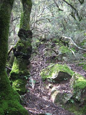 ebenso eine wundersch�ne Wanderung durch die Berge