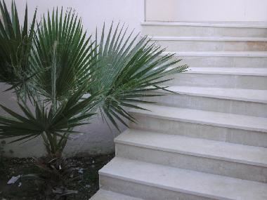 Villa in palmerais (Tunis) oder Ferienwohnung oder Ferienhaus