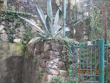 Villa in Casarza Ligure (Genova) oder Ferienwohnung oder Ferienhaus