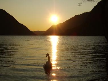 Chalet in Porlezza (Como) oder Ferienwohnung oder Ferienhaus