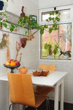 Ferienwohnung in Cani�o de Baixo - Madeira (Madeira) oder Ferienwohnung oder Ferienhaus