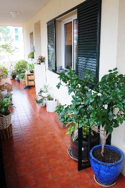 Ferienwohnung in Cani�o de Baixo - Madeira (Madeira) oder Ferienwohnung oder Ferienhaus
