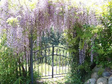 Zur Sicherheit haben wir den Abgang zum Fluss mit einem Tor gesichert