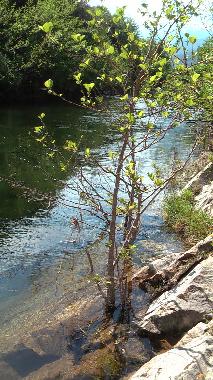 Freier Zugang zum glasklaren Fluss