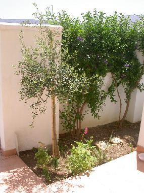 Ferienhaus in Zahara de los Atunes (C�diz) oder Ferienwohnung oder Ferienhaus