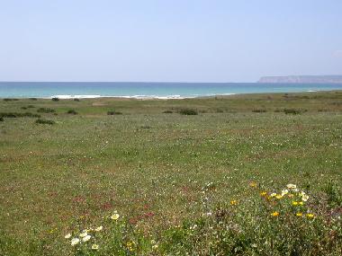 Ferienhaus in Zahara de los Atunes (C�diz) oder Ferienwohnung oder Ferienhaus