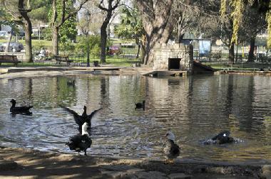 Ferienwohnung in Lisbonne (Grande Lisboa) oder Ferienwohnung oder Ferienhaus