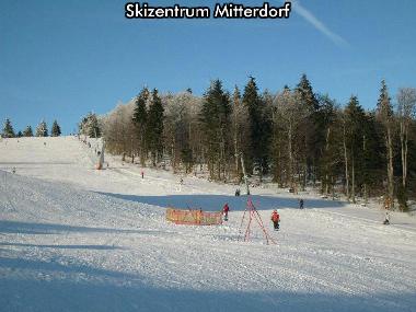 Ferienhaus in Mitterfirmiansreut (Mitterdorf) (Niederbayern) oder Ferienwohnung oder Ferienhaus