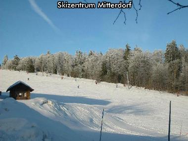 Ferienhaus in Mitterfirmiansreut (Mitterdorf) (Niederbayern) oder Ferienwohnung oder Ferienhaus
