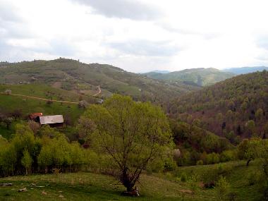 Blick vom Berghang oberhalb