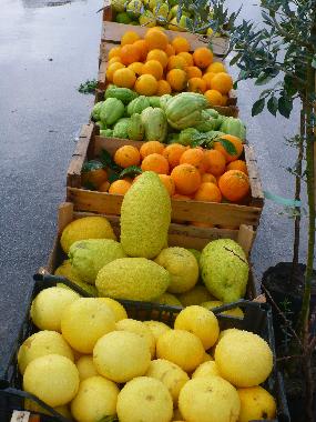 Ferienwohnung in Tonnarella (Messina) oder Ferienwohnung oder Ferienhaus