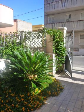 gepflegte Aussenanlage