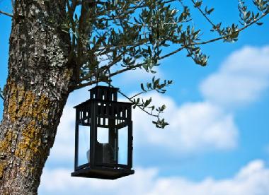 Villa in Boljun (Istarska) oder Ferienwohnung oder Ferienhaus