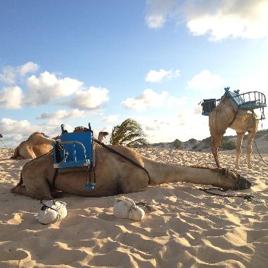 Ferienwohnung in Natal (Rio Grande do Norte) oder Ferienwohnung oder Ferienhaus