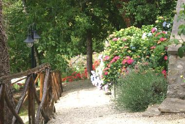 Ferienhaus in Arsicci (Arezzo) oder Ferienwohnung oder Ferienhaus
