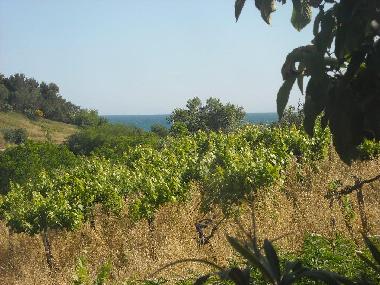 Ferienhaus in Rocca San Giovanni (Chieti) oder Ferienwohnung oder Ferienhaus