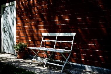 Bank im Schatten der Birken