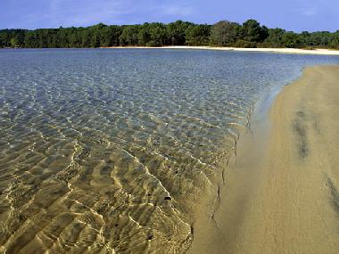 Ferienwohnung in cazaux (Gironde) oder Ferienwohnung oder Ferienhaus