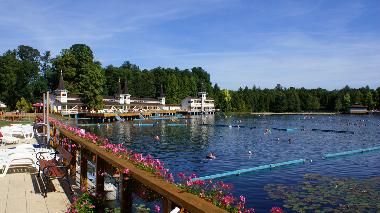 Ferienwohnung in Keszthely (Zala) oder Ferienwohnung oder Ferienhaus
