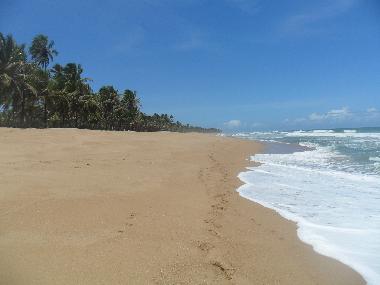 Strand Busca Vida: Blick Richtung Jau�