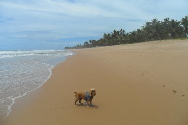 Strand Busca Vida: Blick Richtung Buraquinho