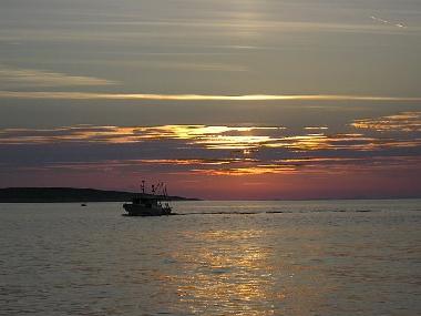 Ferienwohnung in Mandre-Pag (Zadarska) oder Ferienwohnung oder Ferienhaus