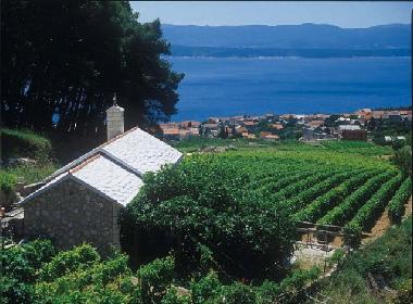Ferienwohnung in Island of Brac -Bol (Splitsko-Dalmatinska) oder Ferienwohnung oder Ferienhaus