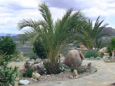 Gartenanlage mit Palmen