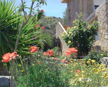 Frhlingsboten am Aufgang zu Wohnung A...