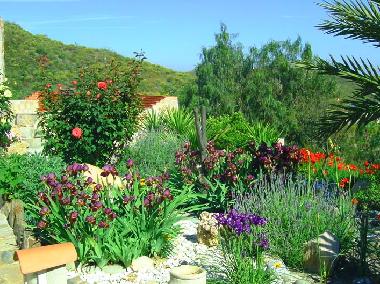 ein Teil des Gartens