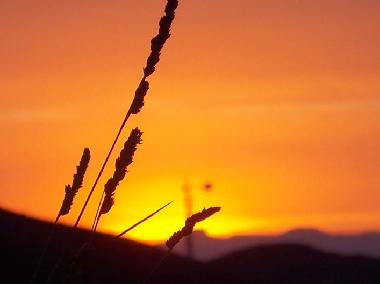 Stimmungsvolle Sonnenunterg�nge