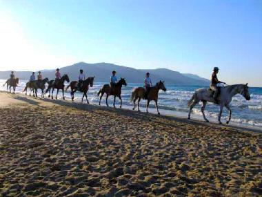 Villa in chania (Chania) oder Ferienwohnung oder Ferienhaus