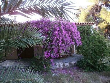 Ferienhaus in Aegina Island (Kyklades) oder Ferienwohnung oder Ferienhaus