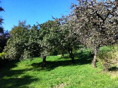 Ferienhaus in Newry (Northern Ireland) oder Ferienwohnung oder Ferienhaus