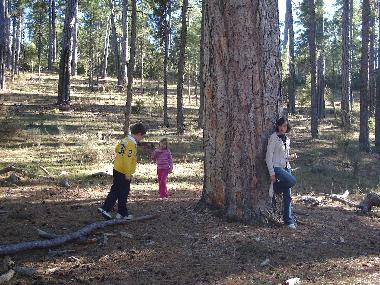 Ferienhaus in Buenache de la Sierra (Cuenca) oder Ferienwohnung oder Ferienhaus