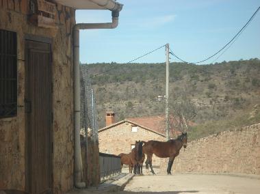 Ferienwohnung in Buenache de la Sierra (Cuenca) oder Ferienwohnung oder Ferienhaus