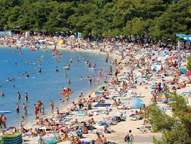 Ferienwohnung in Biograd na moru (Zadarska) oder Ferienwohnung oder Ferienhaus