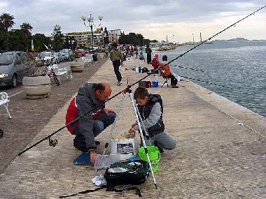 Ferienwohnung in Biograd na moru (Zadarska) oder Ferienwohnung oder Ferienhaus
