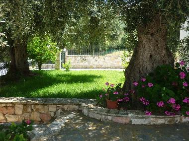 Ferienwohnung in Sivota, thesprotias (Thesprotia) oder Ferienwohnung oder Ferienhaus