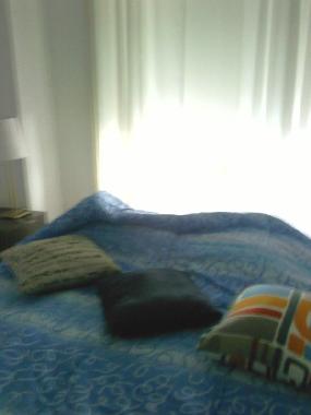 Pension in Lisboa (Grande Lisboa) oder Ferienwohnung oder Ferienhaus