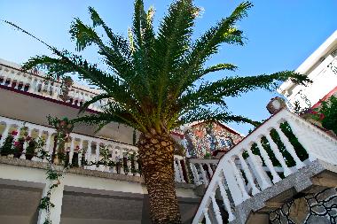 Ferienhaus in Budva (Montenegro) oder Ferienwohnung oder Ferienhaus