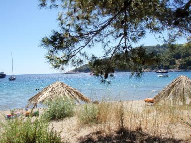 Ferienwohnung in Saplunara (Dubrovacko-Neretvanska) oder Ferienwohnung oder Ferienhaus