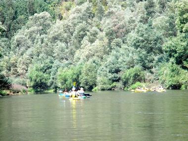 Ferienhaus in Coja (Serra da Estrela) oder Ferienwohnung oder Ferienhaus