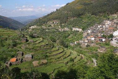Ferienhaus in Coja (Serra da Estrela) oder Ferienwohnung oder Ferienhaus
