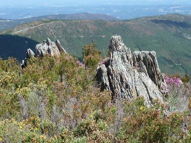 Ferienhaus in Coja (Serra da Estrela) oder Ferienwohnung oder Ferienhaus